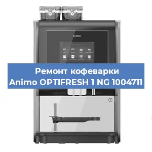 Ремонт заварочного блока на кофемашине Animo OPTIFRESH 1 NG 1004711 в Новосибирске
